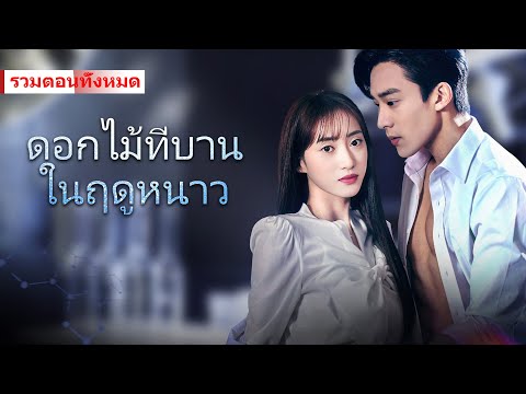 เพื่อปกป้องผู้หญิงที่เขารัก ผู้ชายคนนี้ตัดสินใจก้าวเข้าสู่วงการแพทย์อย่างเด็ดเดี่ยว  #ละครสั้น