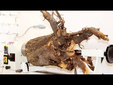 Ugly almond tree roots,Master turns waste into treasure