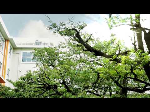 英米文学科 駒澤大学キャンパスイメージムービー