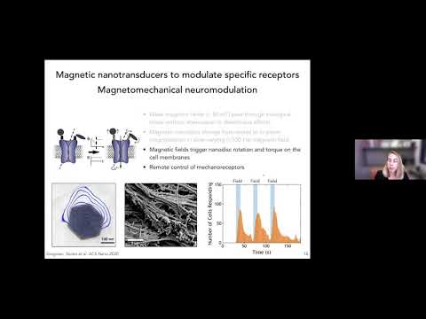 Day 2: Biological Tools for 4D Cellular Physiology