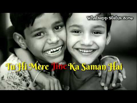 Tere Liye Bhai Meri Jaan Hai / Best Status Song....