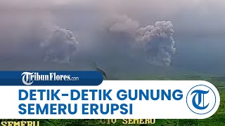 Detik-detik Gunung Semeru Erupsi, Awan Panas Meluncur Sejauh 4,5 Km, Ini Imbauan MAGMA Indonesia