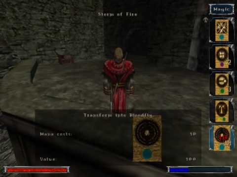 Let's Play Gothic | 35 | The Focussearch - Mountain Fort P2