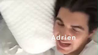 Miraculous Ladybug as vines //CLEAN//