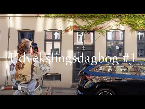 GØR KLAR TIL UDVEKSLING | flybilletter, legat ansøgning & andre praktiske ting