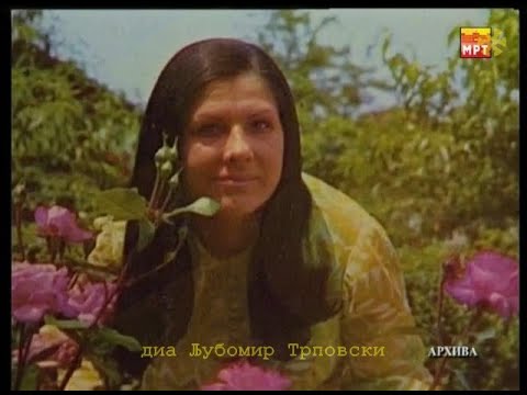 Анка Гиева - Каранфило филфило моме / Anka Gieva - Karanfilo filfilo mome