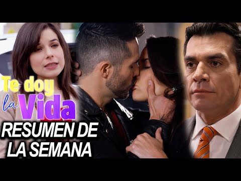 Grandes momentos de "Te doy la vida": Gina y Ernesto quieren impedir la felicidad de Elena y Pedro