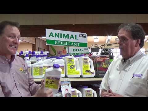 download lagu mp3 mp4 Critter Oil Ingredients, download lagu Critter Oil Ingredients gratis, unduh video klip Critter Oil Ingredients