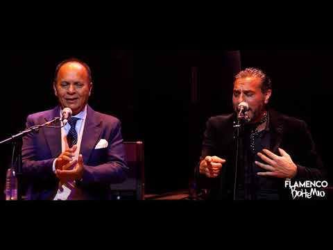 El Pele y Amigos - Soleá con Dorantes, Arcángel y Pedro el Granaíno