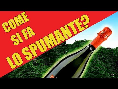 Come si produce lo spumante? E il vino frizzante?