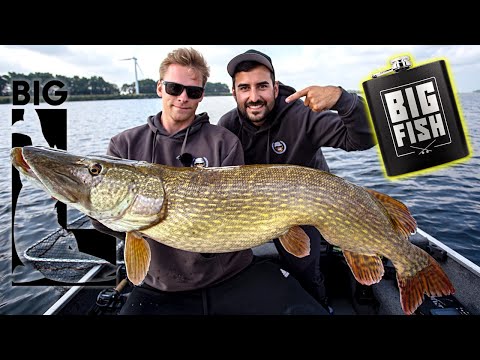 MONSTER HECHT // Jetzt wird gesoffen!