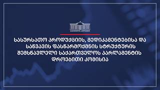 საქართველოს პარლამენტის დროებითი კომისიის სხდომა N10 - 03.04.2026