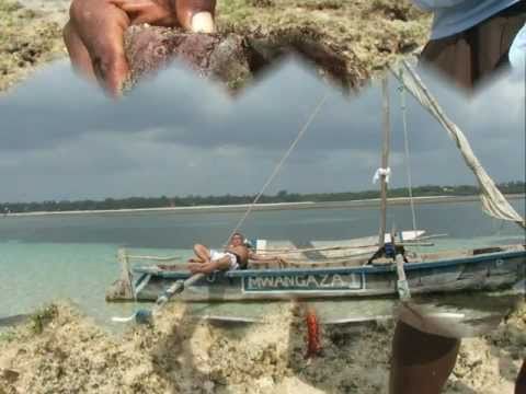 Ilya Malyuev Pres. Baltic Sound - Mille Miglia