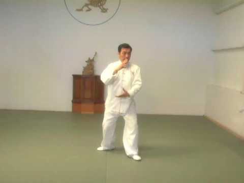 Full set Tai Chi Shyun