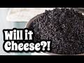 AGED BLACK SESAME CHEESE In 2 WEEKS You Gotta Try This