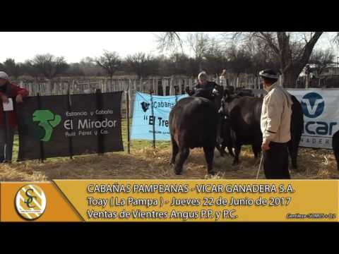 22-06-17 Venta de Cabañas Pampeanas - Vicar Ganadera S.A. - Toay