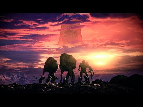 How the Flood survive the firing of the Halos (+ NEW HALO ANNOUNCEMENT!)