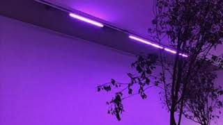 top priority - blackbear &amp; ne-yo (slowed + reverb)