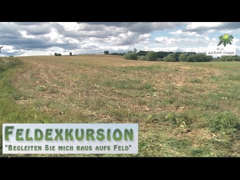 23. Feldexkursion: nach der Maisernte - NU Agrar, 16.09.2015