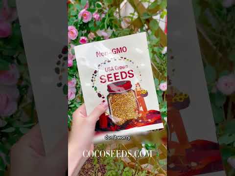 Grow Climbing Roses: Easy Tips for a Stunning Garden #cocoseeds#climbingrose#flowerseed#garden#plant