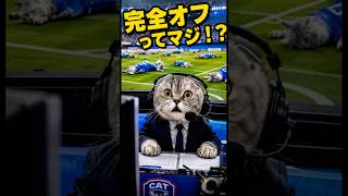 【W杯日本代表】本田さんの1にガクポ解説が妙にクセになる件