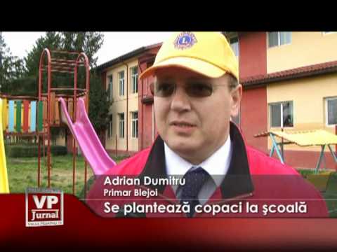 Se plantează copaci la şcoală