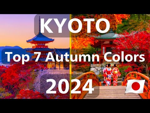 Kyoto autumn foliage video