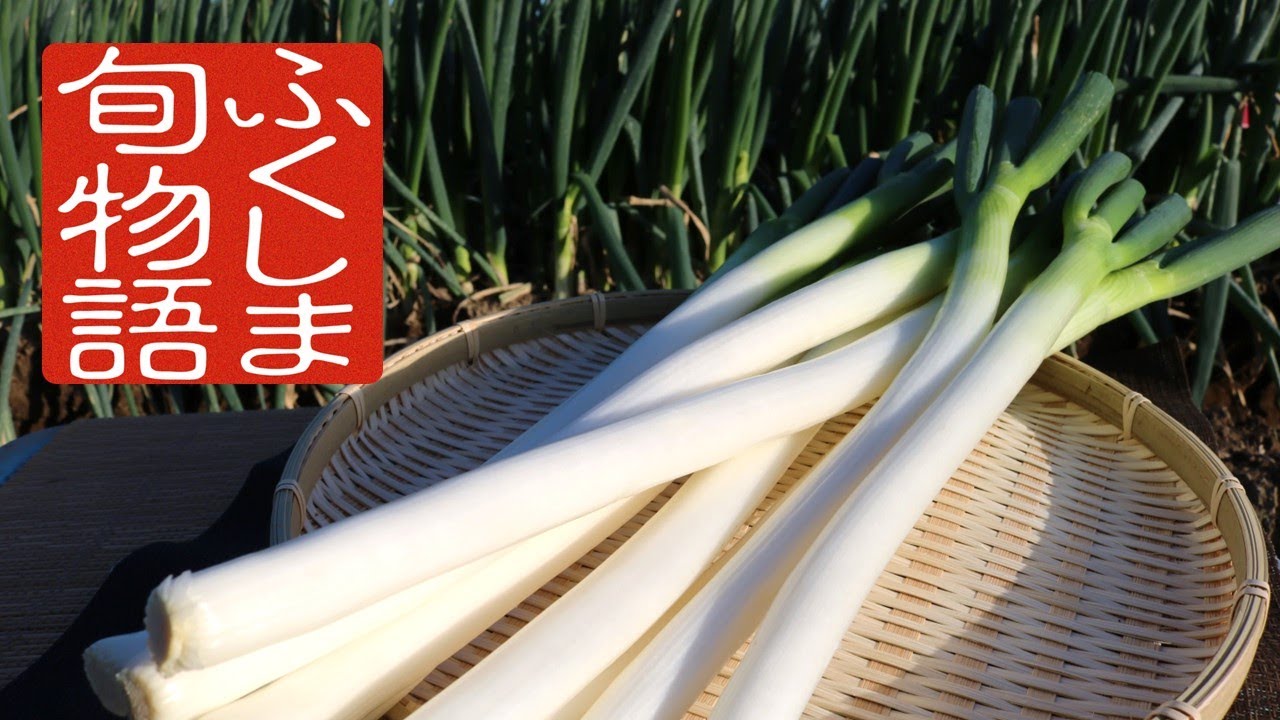ふくしま旬物語　いわきねぎ　～伝統と自然が育んだ逸品～