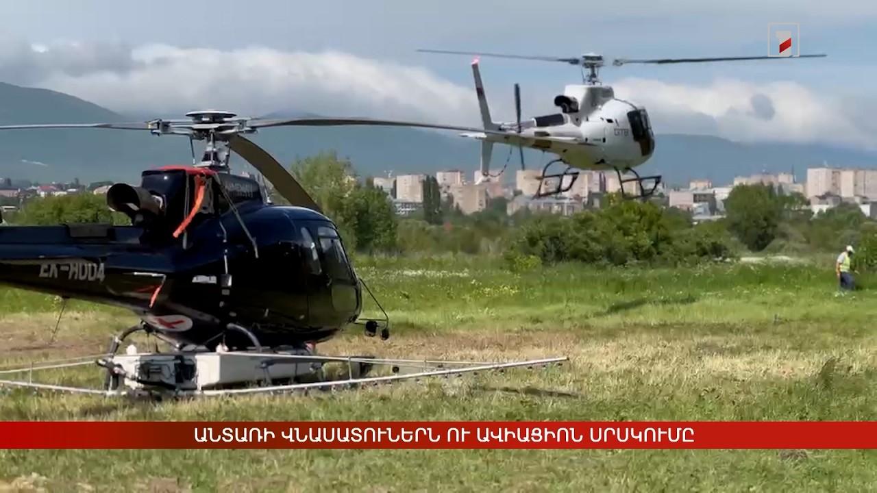 Անտառի վնասատուներն ու ավիացիոն սրսկումը