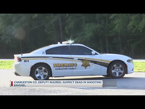 Charleston Traffic Stop Shootout
