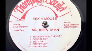 Eek-A-Mouse - Pretty City