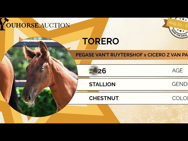 Torero