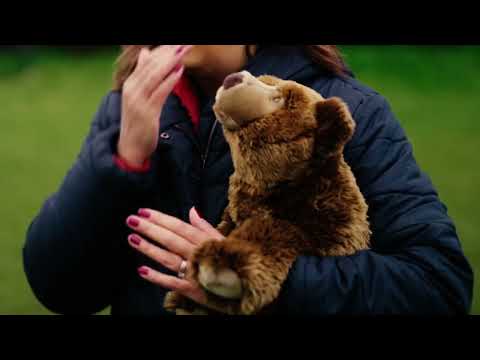 Play Video Youtube Video