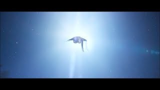 Frecuencia Lyrics English Translation