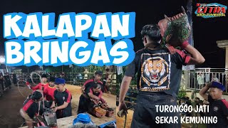 Download lagu KALAPAN BRINGAS TURONGGO JATI SEKAR KEMUNING LIVE DI TAMANSATRIYAN mp3 Download lagu KALAPAN BRINGAS TURONGGO JATI SEKAR KEMUNING LIVE DI TAMANSATRIYAN mp3