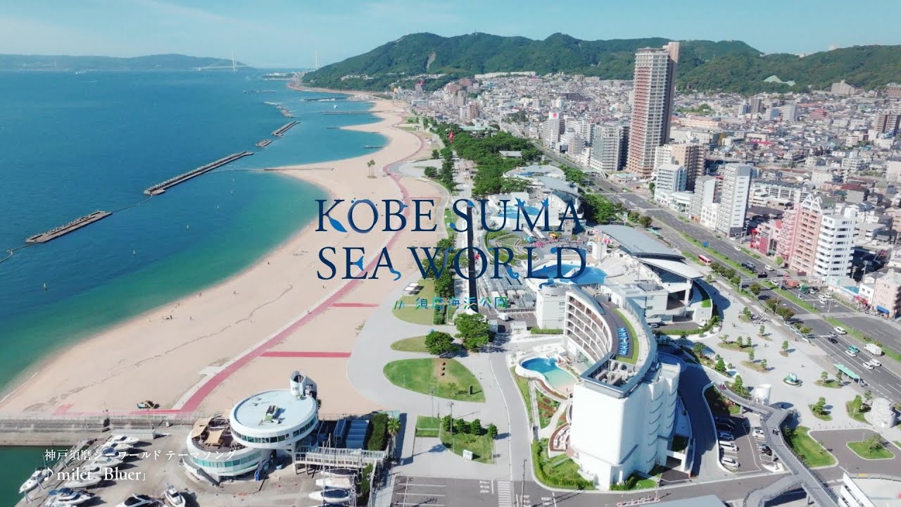 【神户须磨海洋世界】Ⅰ所有生命都如此庞大