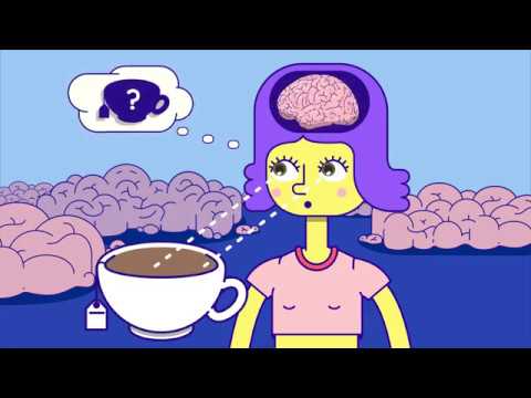 How does your brain see the world?