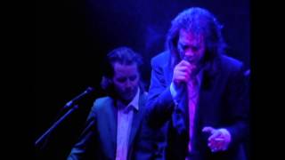The Ship Song - Lovely Creatures: The Best of Nick Cave &amp; The Bad Seeds DVD