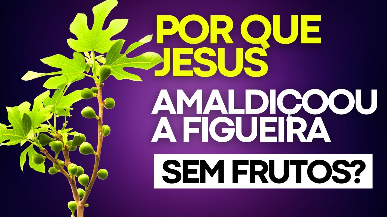 OS ENSINOS (impressionantes) DE JESUS QUANDO AMALDIÇOOU A FIGUEIRA E ELA SECOU!