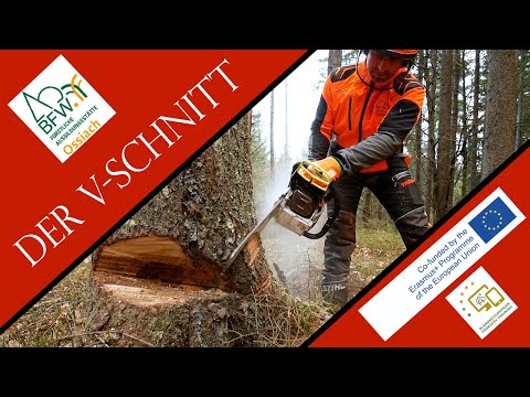Der V-Schnitt - Schnitttechnik bei extrem starken Vorhängern - FAST Ossiach