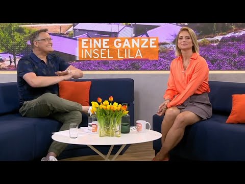 susanna ohlen schöne beine. guten Morgen Deutschland.