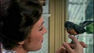 Mary Poppins (1964): Trailer HQ