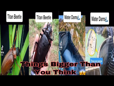 Things Bigger Than You Think