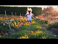 The Garden Golden Hour Short Film Studio One Films