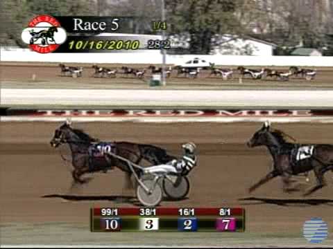 2010 Kentucky Filly Futurity 2nd Elimination - theharnessedge.com