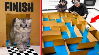 Download lagu LABIRIN TERBESAR UNTUK ANAK KUCING SUPER LUCU!!! BISAKAH MEREKA KELUAR? HANYA HITUNGAN DETIK!!! mp3 Download lagu LABIRIN TERBESAR UNTUK ANAK KUCING SUPER LUCU!!! BISAKAH MEREKA KELUAR? HANYA HITUNGAN DETIK!!! mp3