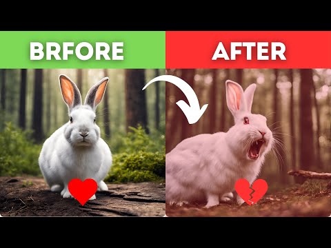 Untamed Elegance: Discovering Beautiful Wild Animals