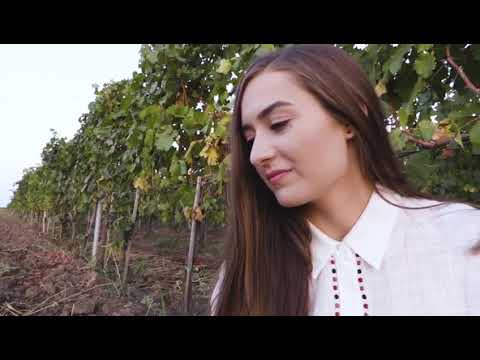 BioShopRomania - Domeniul Bogdan Vinuri organice romanesti medaliate la concursuri internationale