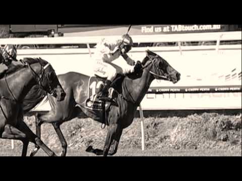 2015 Magic Millions Perth Yearling Sale Preview