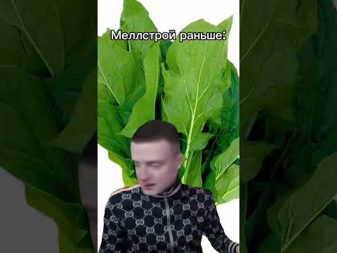 Переобулся? #щявель #персик #ракушка #меллстрой #юмор #мем #мемы #пркол #рофл #mellstroy #mell #мел